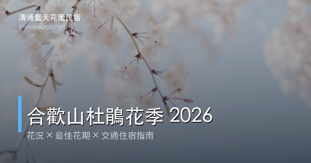 合歡山杜鵑花季介紹及周邊景點安排指南 10 合歡山杜鵑花季 2026|花況時間交通住宿完整指南