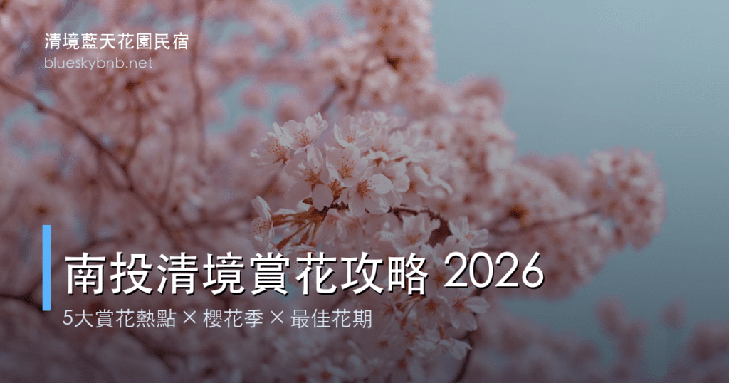 南投櫻花季必訪景點攻略|5大賞櫻熱點、花況、最佳時間整理 11 南投清境賞花攻略 2026|5大賞花熱點與最佳時機