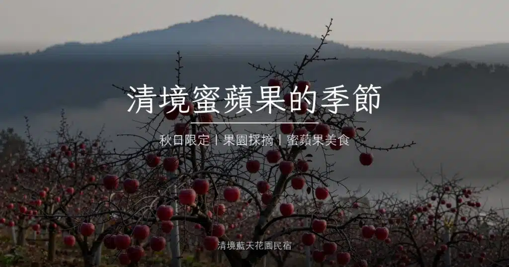 清境蜜蘋果季｜秋日限定的高山果園